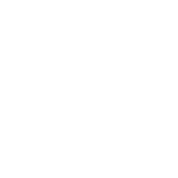 ce logo Lynwood